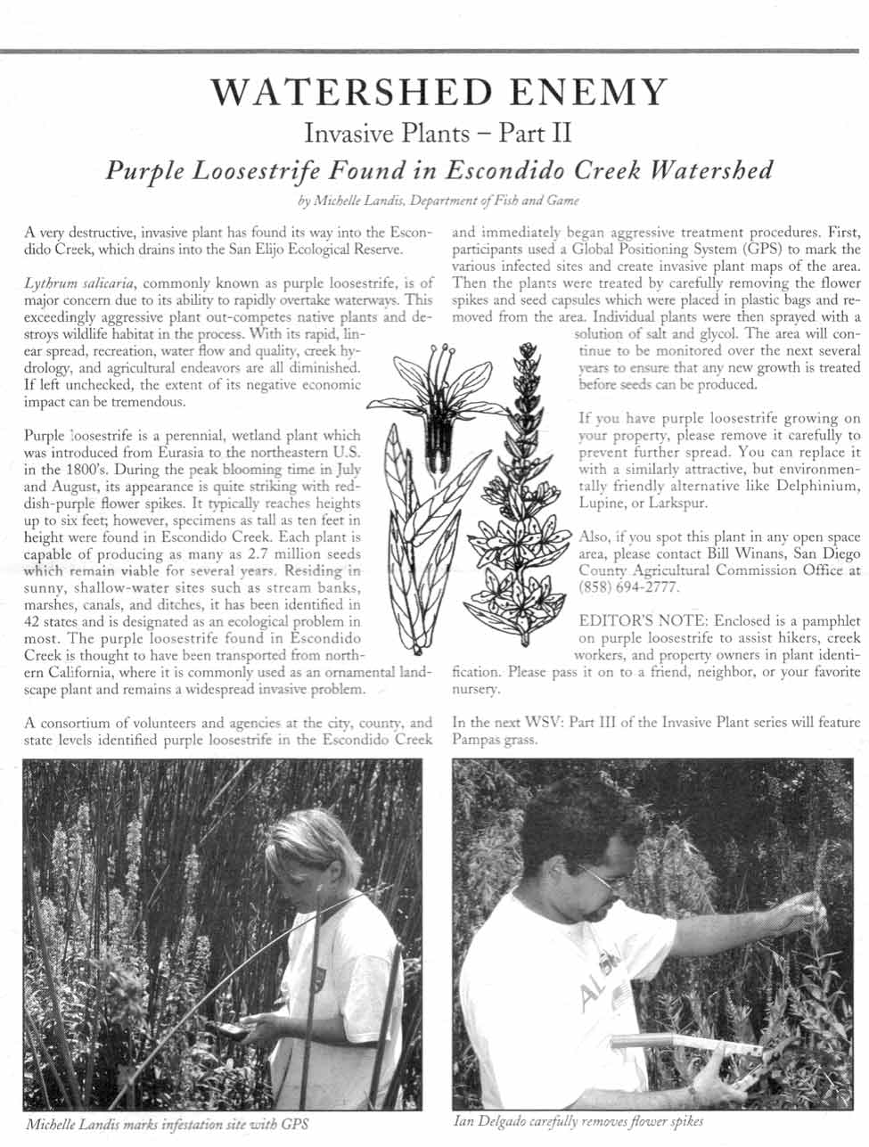 TECC Fall 2002 newsletter Page 3