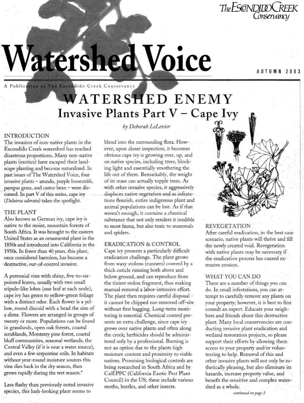 TECC Autumn Newsletter 2003 Page 1