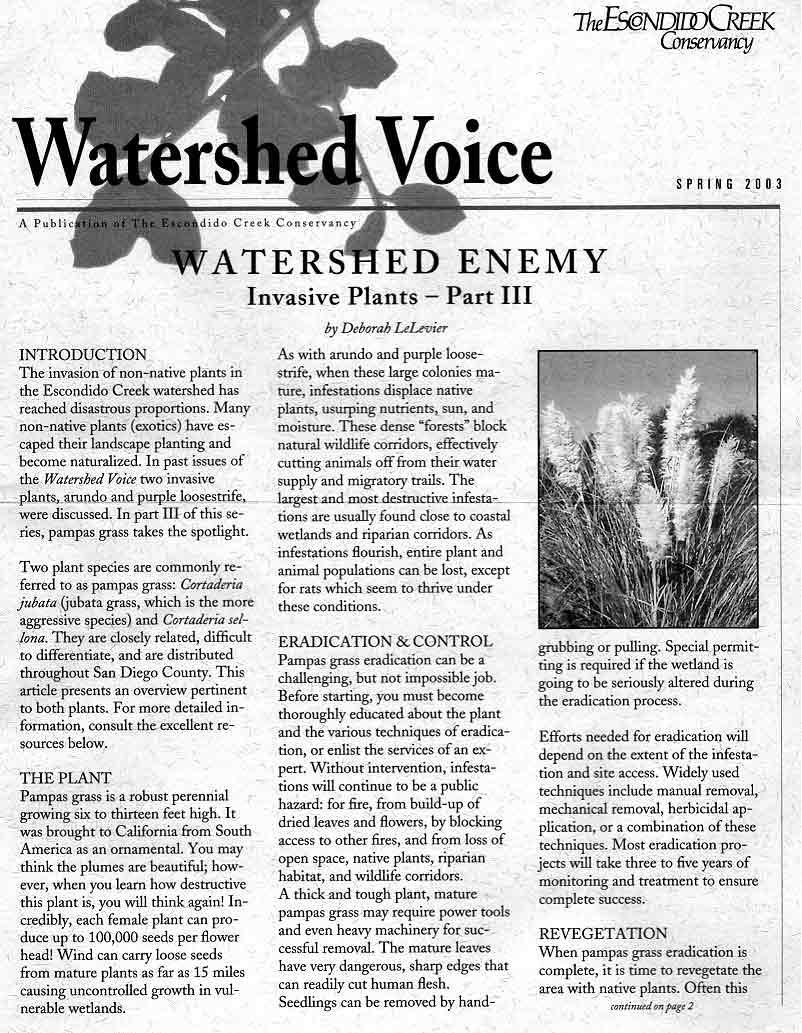TECC Spring Newsletter 2003 Page 1