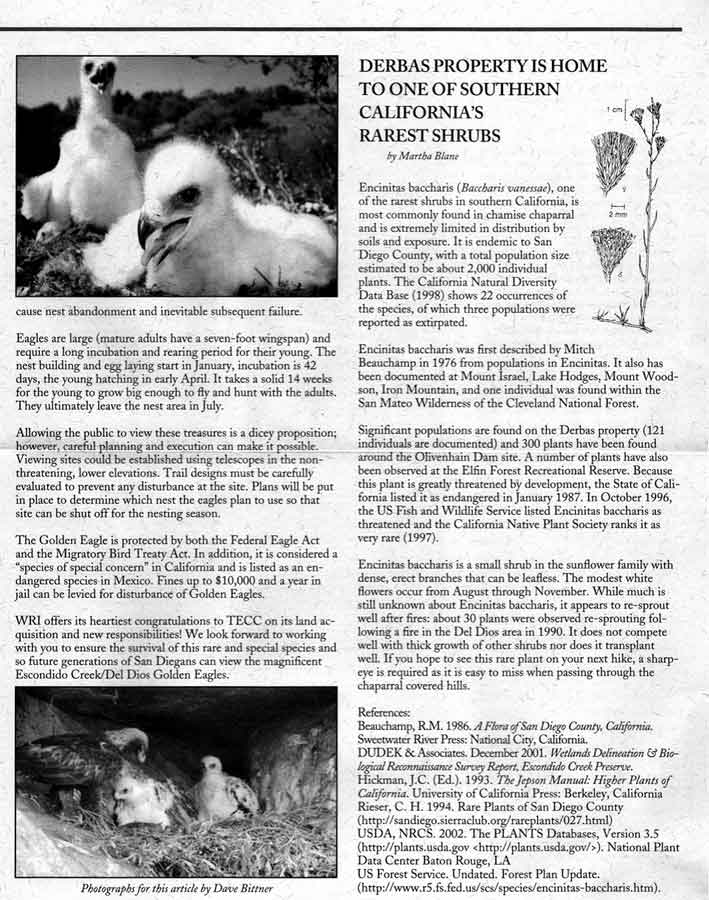 TECC Winter 2002 Newsletter Page 3