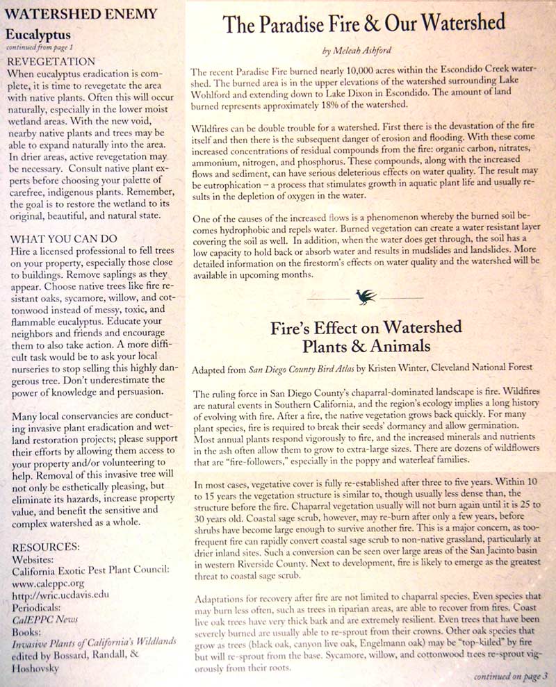 TECC Winter 2003 Newsletter Page 2