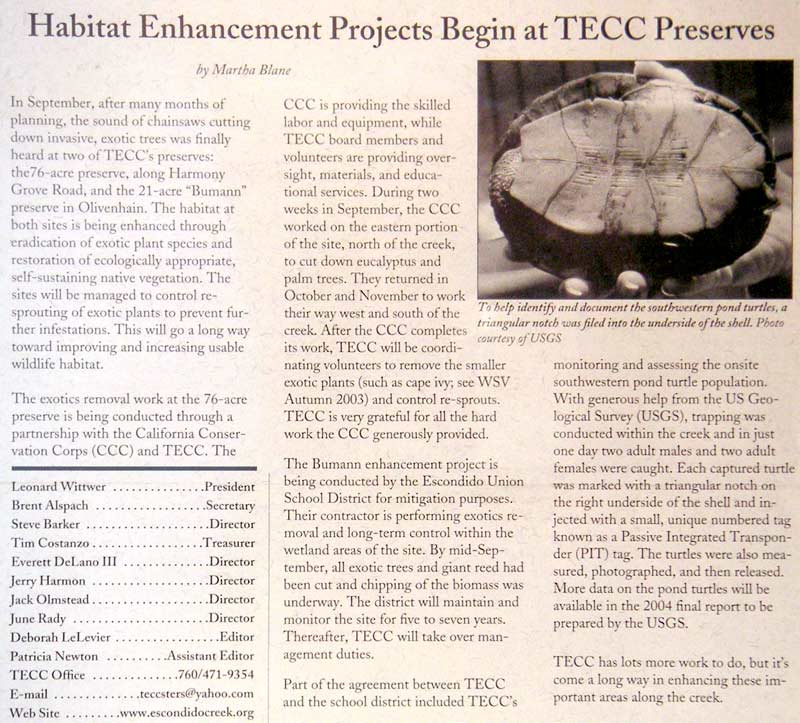 TECC Winter 2003 Newsletter Page 4